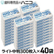 【4/14 20:00より★最大1,500円OFFクーポン】ペーパータオル エコタイプ ライト 中判 300枚入 × 40袋 ベ…