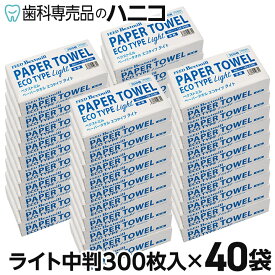 【11/11 1:59まで★P2倍＋最大2,000円OFFクーポン】ペーパータオル エコタイプ ライト 中判 300枚入 × 40袋 ベクストミル 紙タオル 手拭き 大容量 まとめ買い 業務用 家庭用 家庭兼用 ハンド タオル 当社製品 CP3