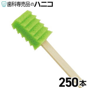 y11/27 01:59܂Łő2,000~OFFN[|zn~ObhH 250{ X|WuV ؎ p oPA