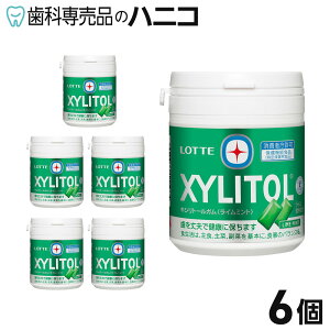 y11/1 24Ԍ聚ő2,000~OFFN[|zbe LVg[K t@~[{g 6 C~g^tbV~g {gK `[COK یpHi gNz