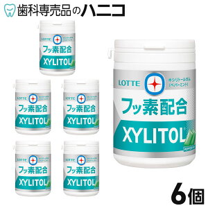 y11/1 24Ԍ聚ő2,000~OFFN[|zbe LVg[K{tbf yp[~g X{g 6 ΒoR̃tbfz