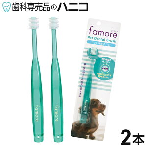 y11/4 20:00聚10OFF{P2{{ő2,000~OFFN[|zybgf^uV SMALL 2{ ybgp360°uV ^wbh ЃIWi