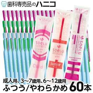 y11/1 24Ԍ聚P20{{ő2,000~OFFN[|zyz\G Soelu uV 60{ 3J[×e20{ x[VbN(l)^`Ch(3`7)^WjA(6`12) ӂ^炩 Ȑ