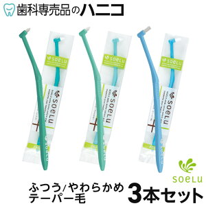 y11/1 24Ԍ聚P20{{ő2,000~OFFN[|z\G soelu ^tg uV PLUS ӂ^炩߁^e[p[ 3{Zbg Ȑꔄi