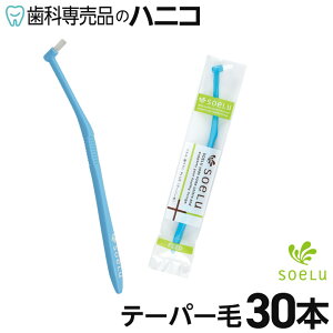 y11/1 24Ԍ聚P20{{ő2,000~OFFN[|z\G Soelu uV PLUS e[p[ ӂ 30{ ^tguV u Cvg