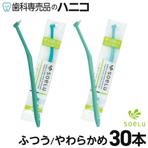 y11/1 24Ԍ聚P20{{ő2,000~OFFN[|z\G Soelu uVPLUS ӂ^炩 30{ ^tguV u Cvg