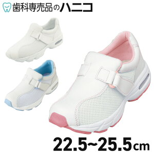 y9/25 24Ԍ聚ő1,500~OFFN[|zEF[u\[ VFX^[V[Y No.533-1 S`LL i[XV[Y R L Ռz