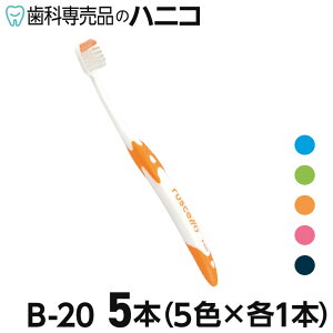 y11/1 24Ԍ聚ő2,000~OFFN[|zVF B-20 sZ uV 5{ M^S(ӂ^炩) B20