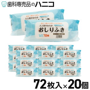lp炩ӂ 72 × 20 mAR[ ^Cv @ K@