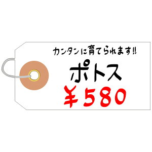 【楽天市場】ユポ荷札 豆 25-1210 | 針金 ラッピング 業務用 梱包資材 クロークチケット タグ 名札 整理 まとめ買い ササガワ