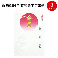 命名紙 B4判変形 金字・浮出柄 28-411 | 命名紙 金箔 慶弔用品 命名紙 命名 命名書 用紙のみ 命名札 手形…
