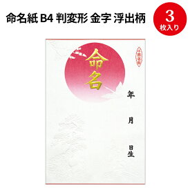 【創業明治27年老舗ブランド】命名紙 B4判変形 金字・浮出柄 28-411 | 慶弔用品 命名紙 命名 命名書 用紙のみ 命名札 手形 足形 赤ちゃん おしゃれ パソコン テンプレート 印刷 色紙 かわいい 贈り物 ギフト 出産 お祝い 飾り 男の子 女の子 兼用 誕生 金箔 高級 手書き