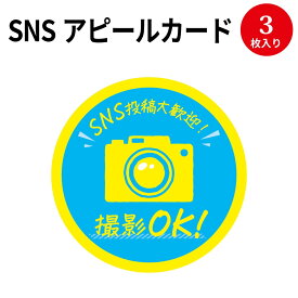 楽天市場 Snsペーパーの通販