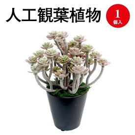 人工観葉植物 パープルセダム ミニサイズ 32-8700 | 人工樹木 フェイク フェイクグリーン 人工 植物 インテリア 樹木 グリーン 消臭 抗菌 マイナスイオン インテリア雑貨 おしゃれ ミニサイズ プレゼント ギフト 贈答 お見舞い 花 衛生 衛生用品 癒し 癒しグッズ 癒し用品