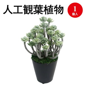 lHϗtA O[Z_ ~jTCY 32-8701 | lH tFCN tFCNO[ lH A CeA  O[ L R }CiXCI CeAG  ~jTCY 