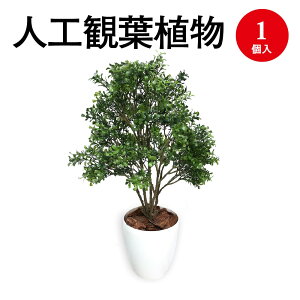 lHϗtA {bNXEbh MTCY 32-8710 | lH tFCN tFCNO[ lH A CeA  O[ L R }CiXCI CeAG  MTCY v[