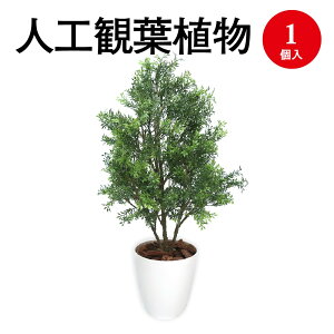 lHϗtA eB[[t MTCY 32-8714 | lH tFCN tFCNO[ lH A CeA  O[ L R }CiXCI CeAG  MTCY v[