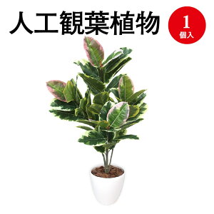 lHϗtA AeV} MTCY 32-8715 | lH tFCN tFCNO[ lH A CeA  O[ L R }CiXCI CeAG  MTCY v[g 