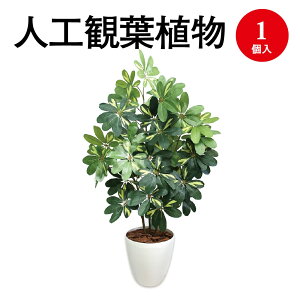 lHϗtA VFt LTCY 32-8719 | lH tFCN tFCNO[ lH A CeA  O[ L R }CiXCI CeAG  LTCY v[g 