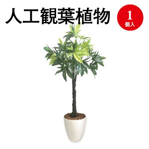 インテリア雑貨 観葉植物の人気商品 通販 価格比較 価格 Com