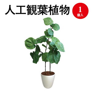 lHϗtA Ex[^ LTCY 32-8722 | lH tFCN tFCNO[ lH A CeA  O[ L R }CiXCI CeAG  LTCY v[