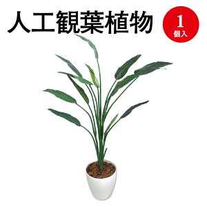 lHϗtA Xg`A LTCY 32-8723 | lH tFCN tFCNO[ lH A CeA  O[ L R }CiXCI CeAG  LTCY v[