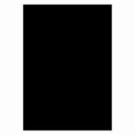 フリーカットペーパー ブラック A5 16-346 ササガワ | POP プライスカード プライスタグ プライス 価格 説明 タグ カード 商品 販売 セール 商品棚 ディスプレイ 展示 シンプル シック おしゃれ かわいい おすすめ 台紙 ペーパー 紙 黒 ブラック 無地 台紙 厚紙 厚い