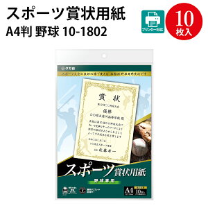 ZfUCg v^[Ή X|[c܏p A4 TbJ[ oXPbg{[ 싅 o[{[ p TTK | ܏p \ \ ؏   Cxg  X|[c 