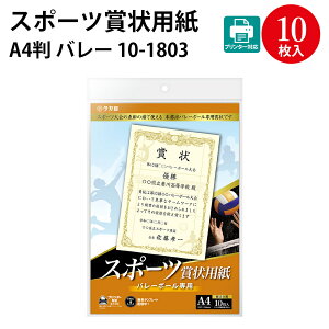 ZfUCg v^[Ή X|[c܏p A4 TbJ[ oXPbg{[ 싅 o[{[ p TTK | ܏p \ \ ؏   Cxg  X|[c 