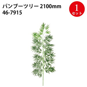 [  TTK | [ Ȃ΂   [Ղ Ȃ΂܂ Ղ ܂ Ղ  Z   |  fR[V  t Cxg G a   