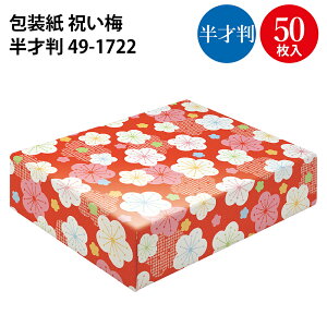  j~ ˔ 2 10 50 | bsOpi [ bsOy[p[  IV 킢  V[g  Mtg MtgbsO   蕨 v[g