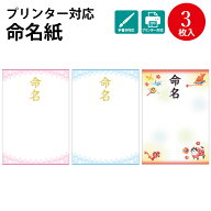 【P5倍!スーパーSALE限定】 プリンター対応 命名紙 レース柄 ピンク ブルー 縁起物 3枚入 ササガワ タカ…