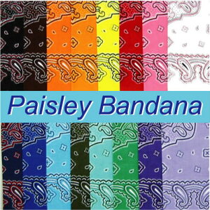 yyCY[o_iz Pi yCY[  ͗l َq 53cm 100% { _炩  o_i `NX ٓ wbh ANZ  j Mtg Cxg a v[