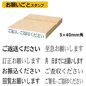 肢 X^v SiʃTCYF5×40mmjnR