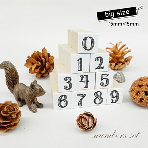 X^v10Zbg1 BIGiʃTCYF15×15mmjXPW[X^v nR 킢 