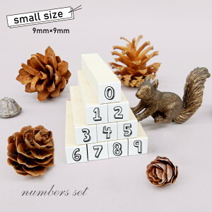 X^v10Zbg2 SMALLiʃTCYF9×9mmjXPW[X^v nR 킢 