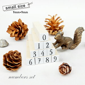 X^v10Zbg4 SMALLiʃTCYF9×9mmjXPW[X^v nR 킢 