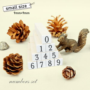 X^v10Zbg6 SMALLiʃTCYF9×9mmjXPW[X^v nR 킢 