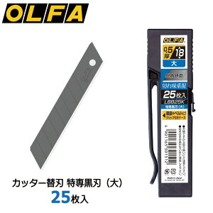 yOLFAzIt@ Jb^[֐n ꍕnij 25 LBB25K ^n