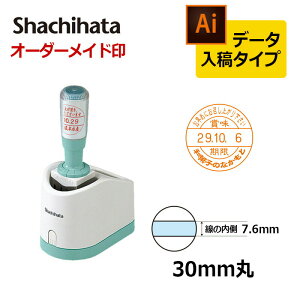 yV`n^zf[^[l[30 ObviʃTCY30mmj f[^e(B^Cv)