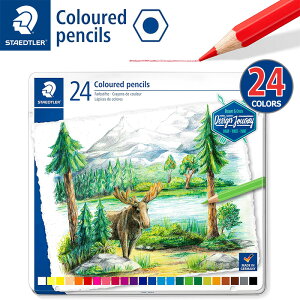 ySTAEDTLERzXebh[ 146 FM 24FZbg 146C M24