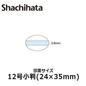 yV`n^zf[^[X^v t }X^[ 12 ʂ̂ eLXge(A^Cv)[̈/̎/t/I[_[Ch/S/rWlX]