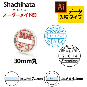 yV`n^zf[^[l[30 tL/S (ʃTCYFa30mm) }X^[iʕĵ f[^e(B^Cv) t Lbv/X^hp