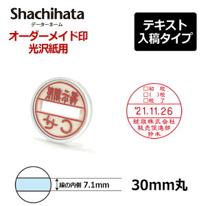 yV`n^zf[^[l[  X^h 30 }X^[iʕĵ (ʒa30mm) eLXge(A^Cv) t