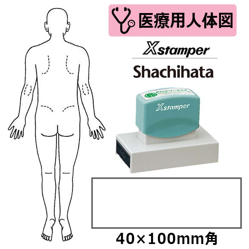【シヤチハタ】医療用人体図 全身（男性背面） Xスタンパー 角型印 40100号 ( 印面サイズ:40×100mm )  医療・病院・看護師・ナース・整体師 はんこ スタンプ | はんこキング（印鑑・シャチハタ）