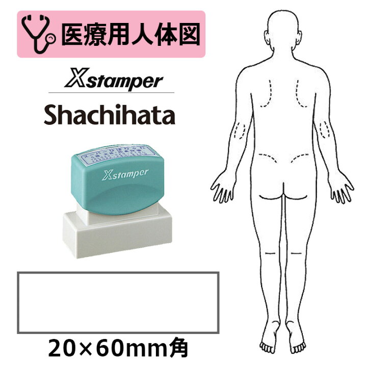 楽天市場 シヤチハタ 医療用人体図 全身 男性背面 Xスタンパー 角型印 60号 印面サイズ 60mm 医療 病院 看護師 ナース 整体師 はんこ スタンプ はんこキング 印鑑 シャチハタ