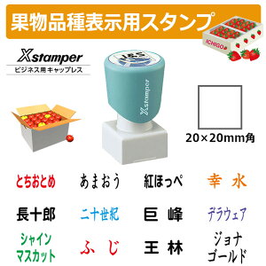 V`n^ p^ ʕi\pX^v 2020 (ʃTCYF20×20mm) ʎ///Ԃǂ//݂///oii/LEC/