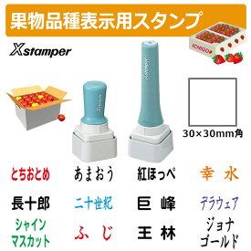 シヤチハタ 角型印 果物品種表示用スタンプ 特角30号 3030号 (印面サイズ：30×30mm) 果樹/いちご/梨/ぶどう/りんご/みかん/メロン/すいか/バナナ/キウイ/桃