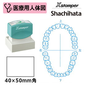 【シヤチハタ】医療用人体図（歯1） Xスタンパー 角型印 4050号 ( 印面サイズ:40×50mm ) 医療・病院・看護師・ナース・歯科医 はんこ スタンプ