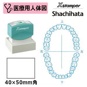 yV`n^z×pl̐}i1j XX^p[ p^ 4050 ( ʃTCY:40×50mm ) ÁEa@EŌtEi[XEȈ ͂ X^v